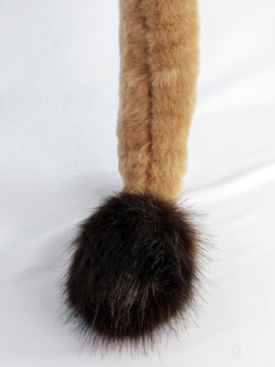 Lion tail