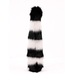 Raccoon tail