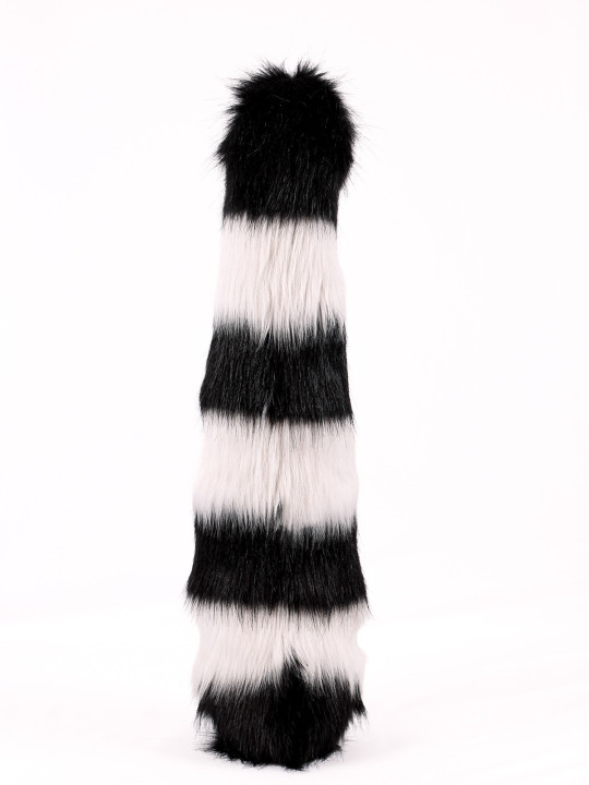 Raccoon tail