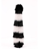 Raccoon tail