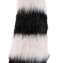 Raccoon tail