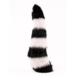 Raccoon tail