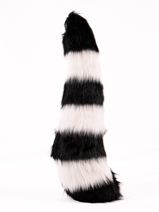 Raccoon tail