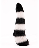 Raccoon tail