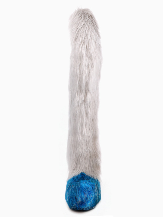 Maine Coon tail