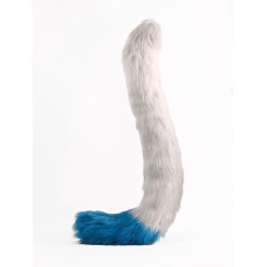 Maine Coon tail