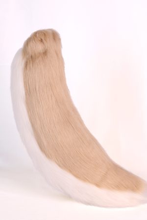 Dog tail