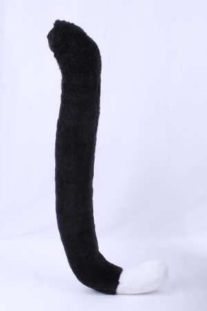 Cat tail