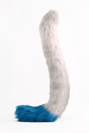 Maine Coon tail