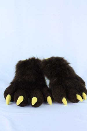 Canine paws with claws