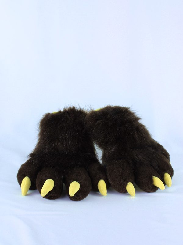 Canine paws with claws