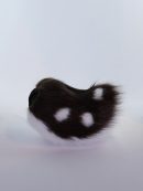 Deer tail