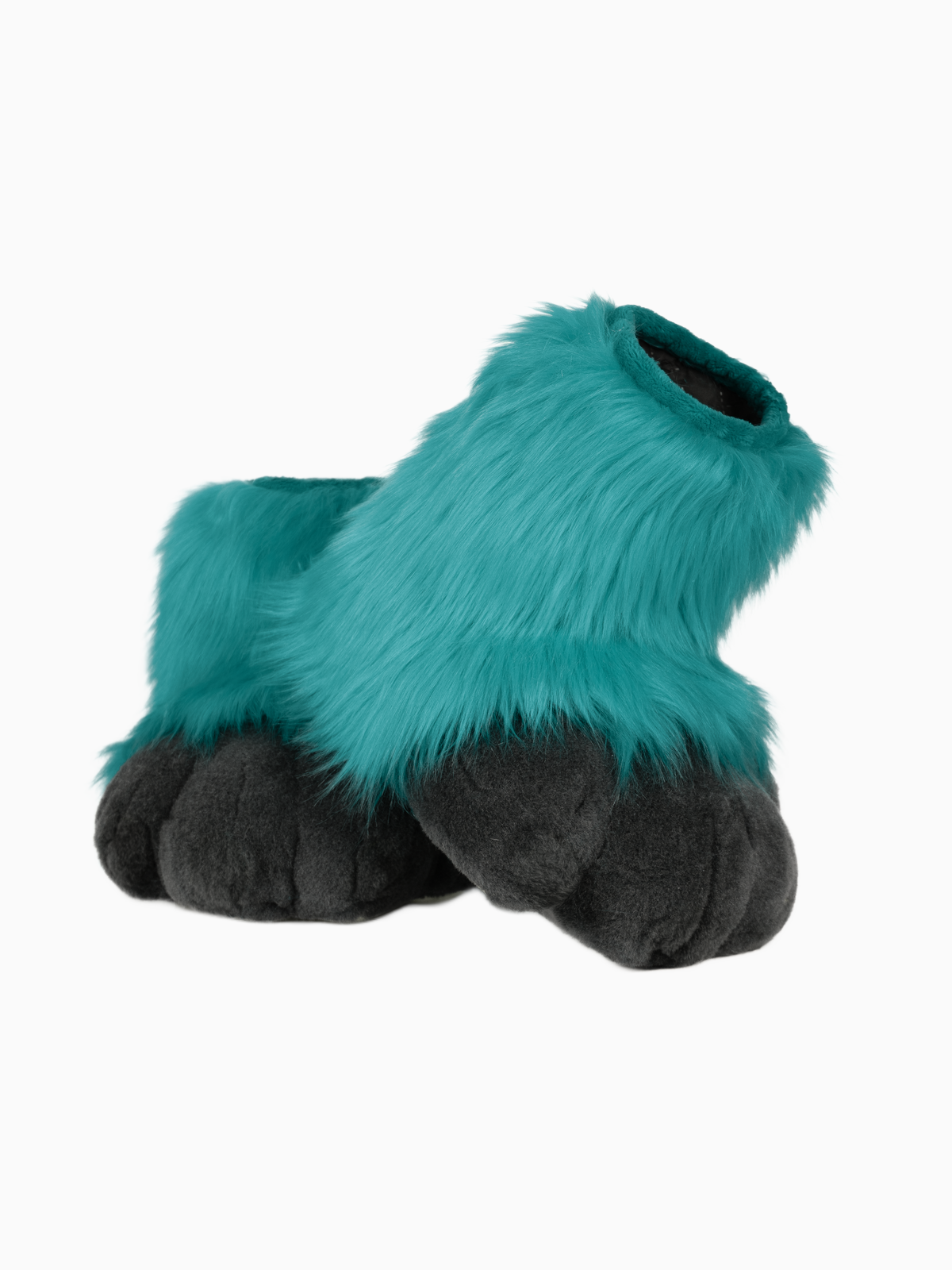 Feet paws - Image 2