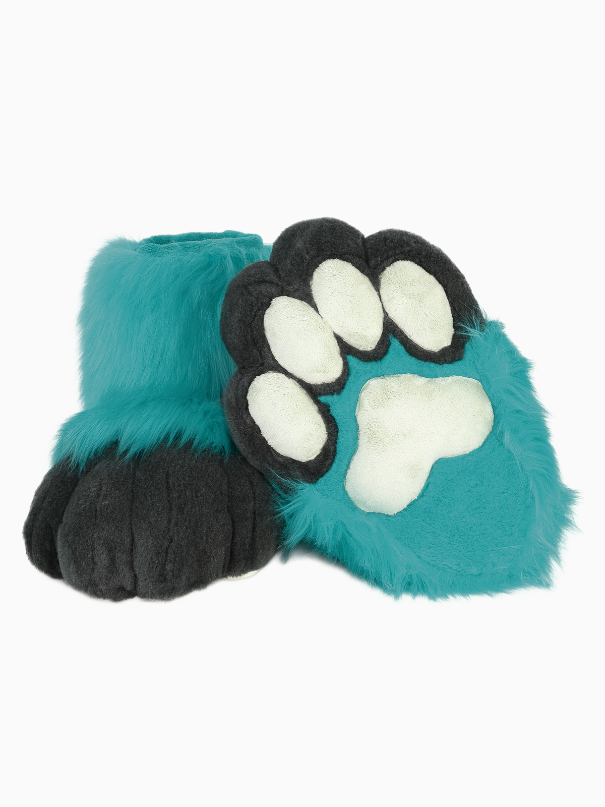 Feet paws